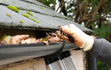 gutter cleaning Low Row