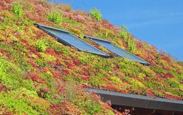 Low Row living roof systems