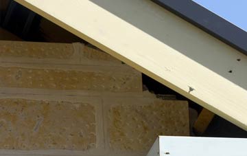 soffit repair Low Row