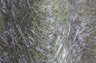 Low Row fibreglass roof work